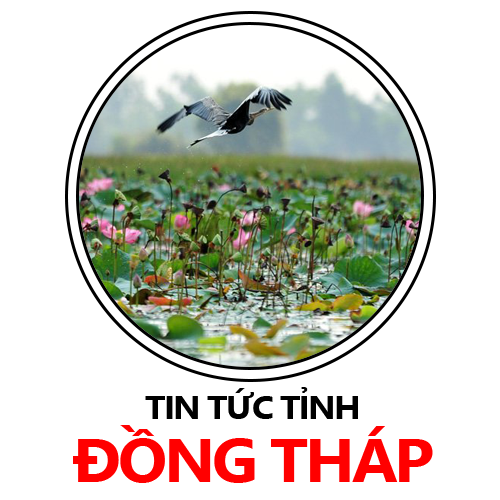Đồng Tháp