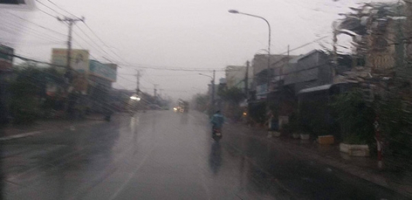 Xứ t&ocirc;m C&agrave; Mau, Bạc Li&ecirc;u phấn khởi đ&oacute;n cơn mưa qu&yacute; hơn v&agrave;ng