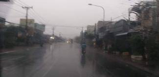 Xứ t&ocirc;m C&agrave; Mau, Bạc Li&ecirc;u phấn khởi đ&oacute;n cơn mưa qu&yacute; hơn v&agrave;ng