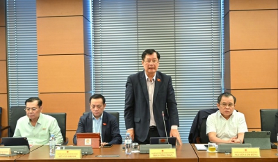 Người nước ngoài làm giám đốc doanh nghiệp nhà nước, có phải kê khai tài sản, thu nhập?