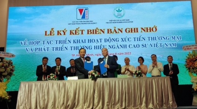 Phát triển thương hiệu ngành cao su Việt Nam