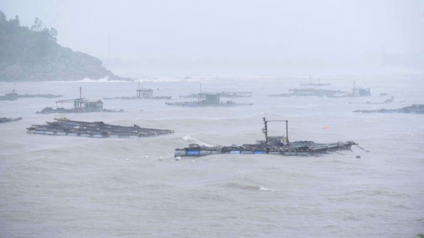 Khẩn cấp khắc phục hậu quả bão số 5