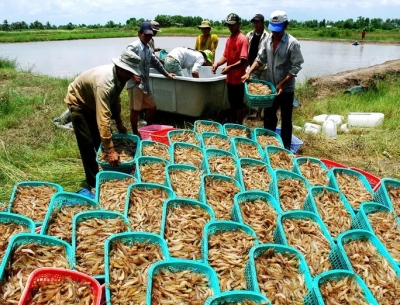 Phòng vệ khi Mỹ - Trung &quot;so găng&quot; tiền tệ