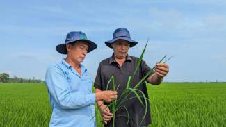 Kỷ lục của một n&ocirc;ng d&acirc;n xuất sắc ở Cần Thơ