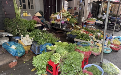 B&aacute;t phở c&oacute; thể tăng gi&aacute; v&igrave; cọng h&agrave;nh, người d&acirc;n ng&oacute;ng m&atilde;i gi&aacute; rau xanh kh&ocirc;ng giảm