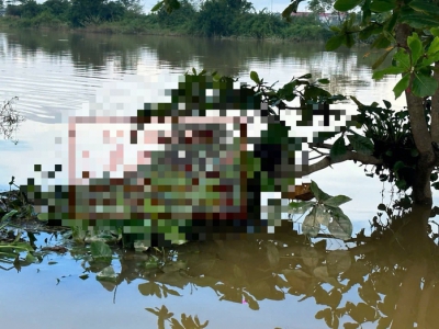 Ph&aacute;t hiện thi thể mắc tr&ecirc;n c&agrave;nh c&acirc;y giữa ruộng