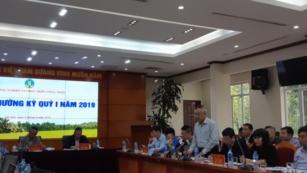 Vụ ch&oacute; cắn tử vong b&eacute; trai 7 tuổi: Hậu quả nghi&ecirc;m trọng c&oacute; thể xử l&yacute; h&igrave;nh sự