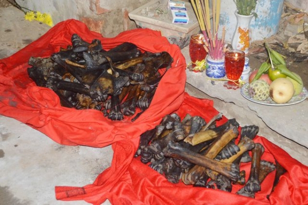 Gi&aacute;m định c&aacute;c đoạn xương ph&aacute;t hiện trong hố s&acirc;u