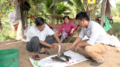 Nắng nóng liên tục ảnh hưởng đến môi trường nuôi trồng thủy sản