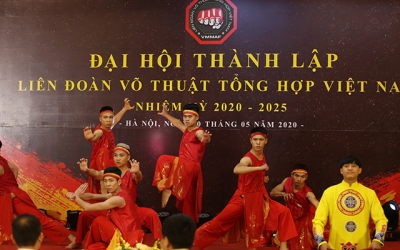 Đại hội Li&ecirc;n đo&agrave;n V&otilde; thuật tổng hợp Việt Nam