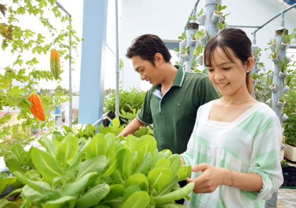 Ngưỡng mộ “Khu vườn tình yêu&quot; đơm trái ngọt trên sân thượng của cặp vợ chồng trẻ Cà Mau