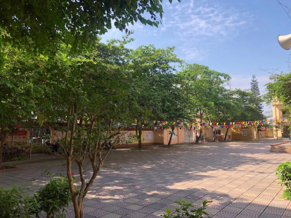Quản lý cây xanh trong trường học: Còn nhiều bất cập