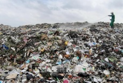 L&atilde;nh đạo tỉnh C&agrave; Mau chỉ đạo x&aacute;c minh vụ hơn 300 thi thể thai nhi tại nh&agrave; m&aacute;y r&aacute;c