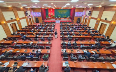Đề xuất hỗ trợ 500 triệu đồng cho giáo sư về trường Đại học Hải Phòng