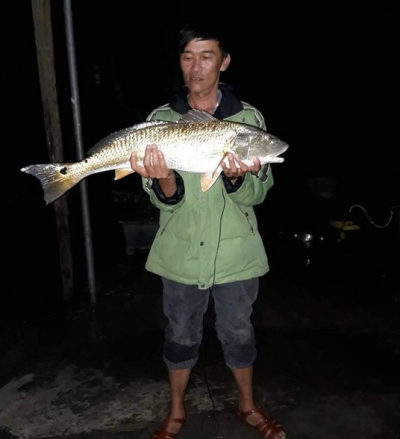 Xe container h&uacute;c xe tưới c&acirc;y, 2 c&ocirc;ng nh&acirc;n c&acirc;y xanh bị thương