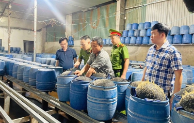 Cận cảnh cơ sở dùng hóa chất độc hại để sản xuất gần 350 tấn giá đỗ bán cho người dân