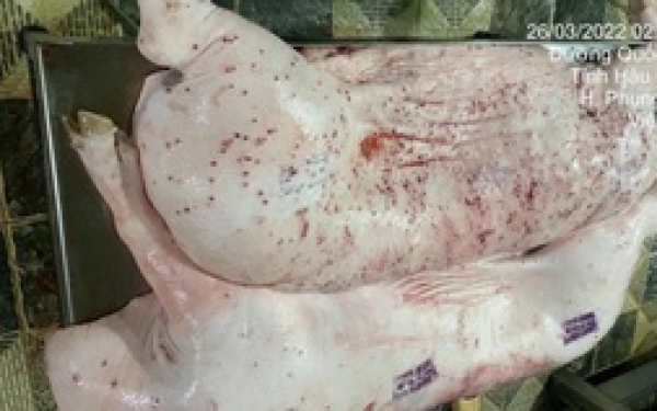 NÓI THẲNG: Công ty C.P. có bán thịt bẩn?