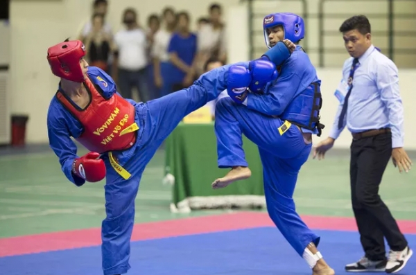 Gần 400 VĐV tranh t&agrave;i Giải v&ocirc; địch Vovinam to&agrave;n quốc 2019