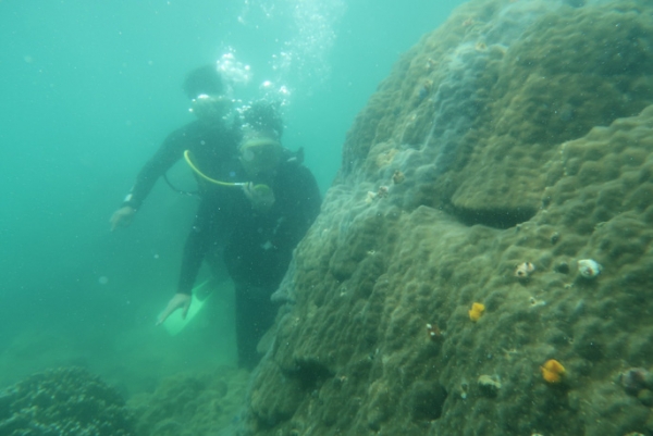 Quảng Nam lo ngại việc đưa kh&aacute;ch từ s&ocirc;ng H&agrave;n ra thẳng C&ugrave; Lao Ch&agrave;m