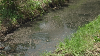 Gần 100 hộ d&acirc;n k&ecirc;u cứu v&igrave; m&ocirc;i trường bị &ocirc; nhiễm