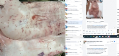 Vụ tố cửa hàng của C.P. Việt Nam bán thịt heo bệnh: Tỉnh Sóc Trăng vào cuộc kiểm tra