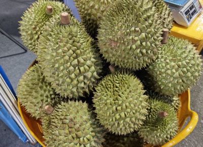 Sầu riêng đông lạnh xuất khẩu sang Thái Lan nhiều nhất
