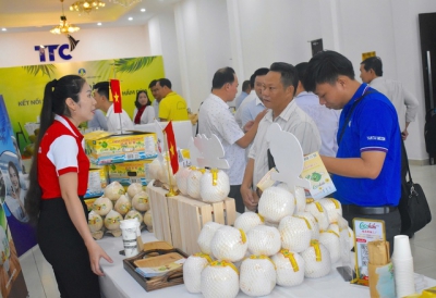 Khan hàng loại quả xuất khẩu tỉ USD, giá tăng mạnh
