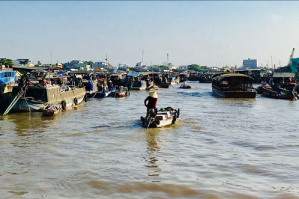&#039;Nút thắt cổ chai&#039; trong chuỗi giá trị nông sản xuất khẩu của ĐBSCL