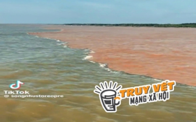 &ldquo;Giải m&atilde;&rdquo; hiện tượng nước c&oacute; m&agrave;u xanh v&agrave; n&acirc;u đỏ ở ven biển C&agrave; Mau