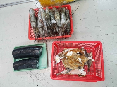 B&iacute; mật động trời trong th&ugrave;ng h&agrave;ng chứa t&ocirc;m h&ugrave;m, c&aacute; kh&ocirc;