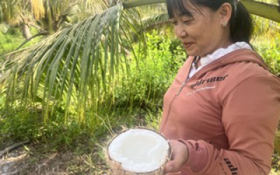 Tăng giá trị kinh tế từ dừa sáp