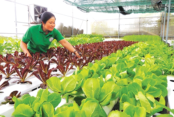 Tiên phong cùng công nghệ 4.0