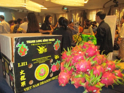 Nâng chất lượng rau quả xuất sang Trung Quốc