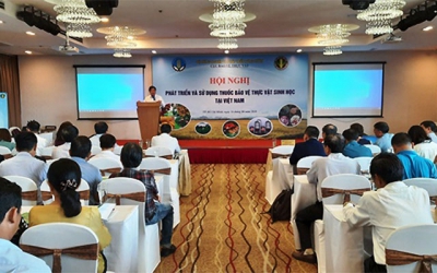 Tăng lượng thuốc BVTV sinh học sử dụng lên 20% vào năm 2025