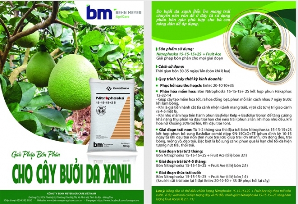Giải pháp bón phân BM cho bưởi da xanh
