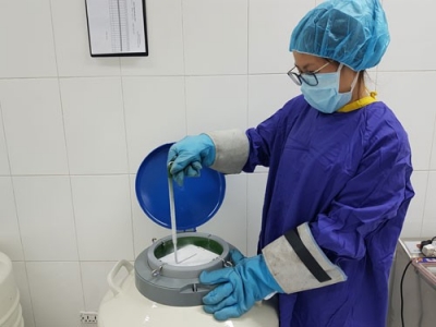 Để dành &quot;con giống&quot;