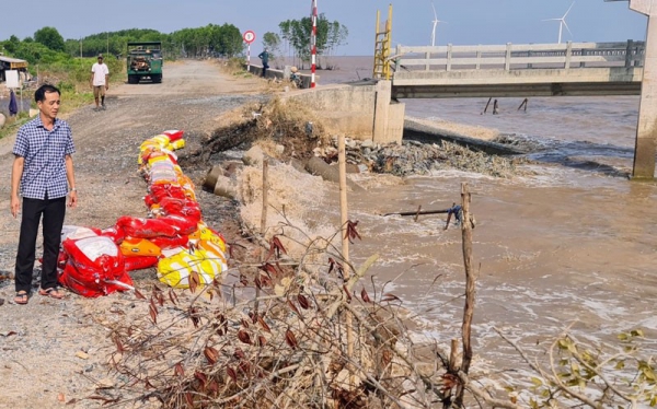 Sạt lở đê biển nghiêm trọng tại Bạc Liêu