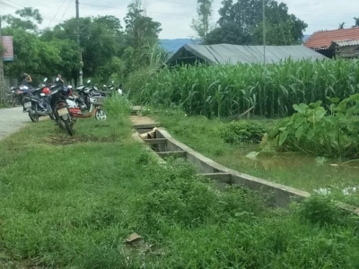 Thu hoạch lạc gi&uacute;p th&ocirc;ng gia, người đ&agrave;n &ocirc;ng bị s&eacute;t đ&aacute;nh tử vong