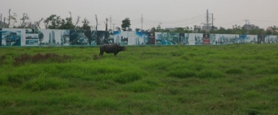 Bất cập nhà ở xã hội