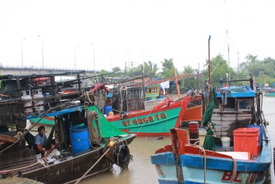 Nhiều t&agrave;u c&aacute; gặp nạn tr&ecirc;n đường tr&aacute;nh b&atilde;o số 1