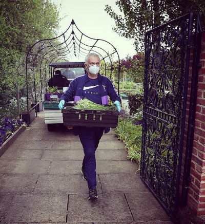 Th&uacute; vị h&igrave;nh ảnh "người vận chuyển" Mourinho giữa vườn rau