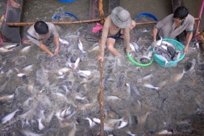 Truyền th&ocirc;ng mạnh mẽ về biến đổi kh&iacute; hậu