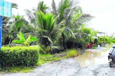 Con đường “đau khổ” ở Cà Mau