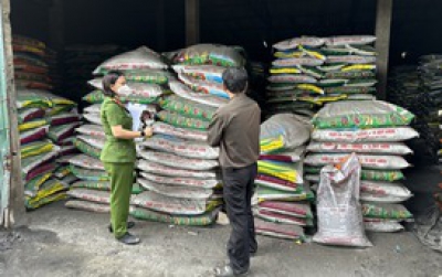 Giám đốc Công ty Việt Đức bị tuyên phạt 5 năm tù