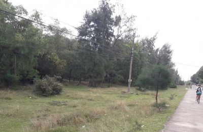 Th&ocirc;ng tin mới nhất về vụ nhiều c&aacute;n bộ ở TT-Huế được cấp đất rừng