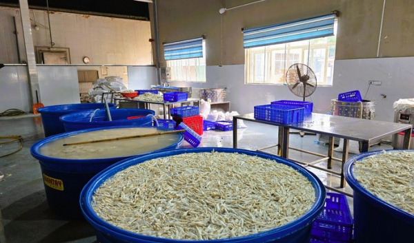 Phát hiện gần 7 tấn chân gà ngâm chất tẩy trắng