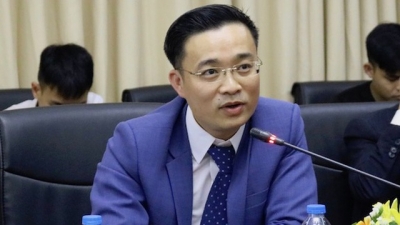 Hội Luật gia l&ecirc;n tiếng về 2 xe biển 80A do "nh&agrave; b&aacute;o quốc tế" sử dụng