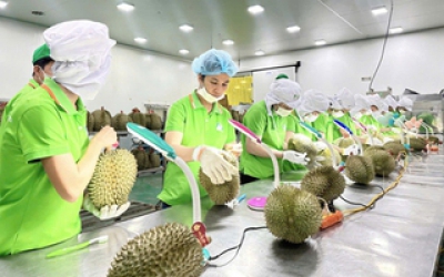 Giao thương Việt Nam - Trung Quốc tăng trưởng vượt bậc