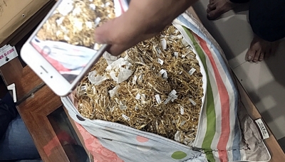 Ph&aacute;t hiện 2 đối tượng b&aacute;n hơn 230 lượng v&agrave;ng kh&ocirc;ng r&otilde; nguồn gốc