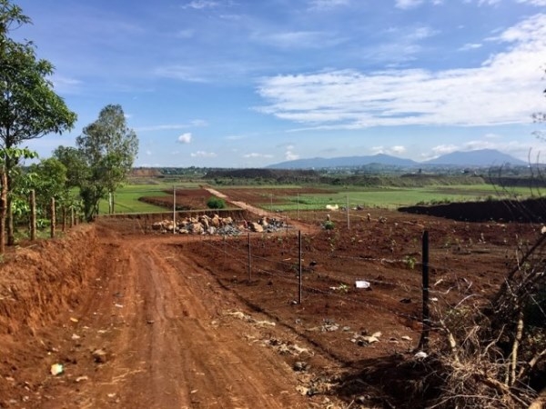 San lấp ruộng để ph&acirc;n l&ocirc; b&aacute;n nền: Kh&ocirc;ng khắc phục sẽ thu hồi đất